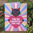 You re Purrrfect For Me!  Cat Valentine s Day Card, Recycled Anniversary Card Online Sale