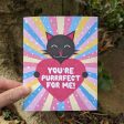 You re Purrrfect For Me!  Cat Valentine s Day Card, Recycled Anniversary Card Online Sale