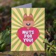 Nuts For You!  Squirrel Valentine s Day Card, Recycled Anniversary Card Hot on Sale