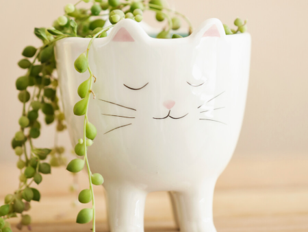 Standing Cat Flower Pot Hot on Sale