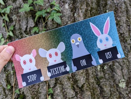 Stop Animal Testing  Vegan Message Vinyl Bumper Sticker Online