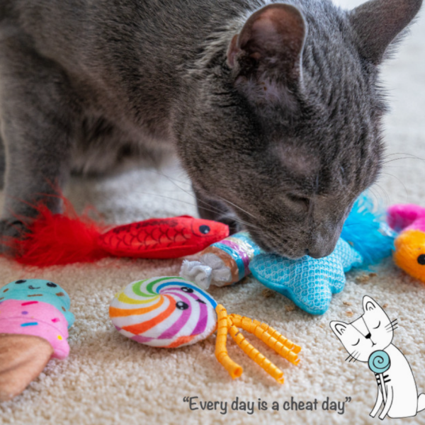 Kitty Sweet Treats Cat Toys Online Sale