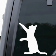 Playing Cat Car Sticker Online Sale