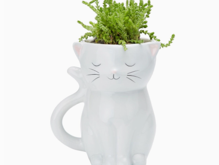 Sweetie Cat Planter Online now