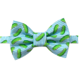 Pickle Cat Bow Tie And Collar Set Online Sale