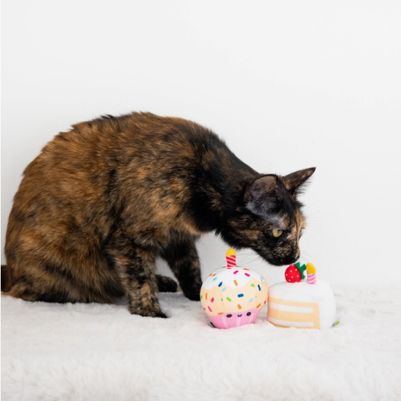 Birthday Cake Cat Toy Set Sale