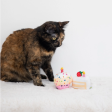 Birthday Cake Cat Toy Set Sale