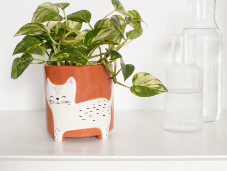 Happy Cat Flower Pot on Sale