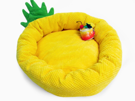 Pineapple Pet Bed Discount