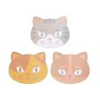 Tabby Cat Sticky Notes For Cheap