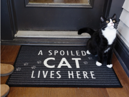 A Spoiled Cat Lives Here Floor Mat Online