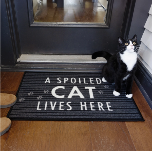 A Spoiled Cat Lives Here Floor Mat Online