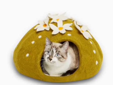 Cactus Pet Cave Online Sale