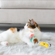 Taco Cat Toys (Set of 2) Online