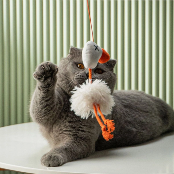 Birdie Catnip Toy Online