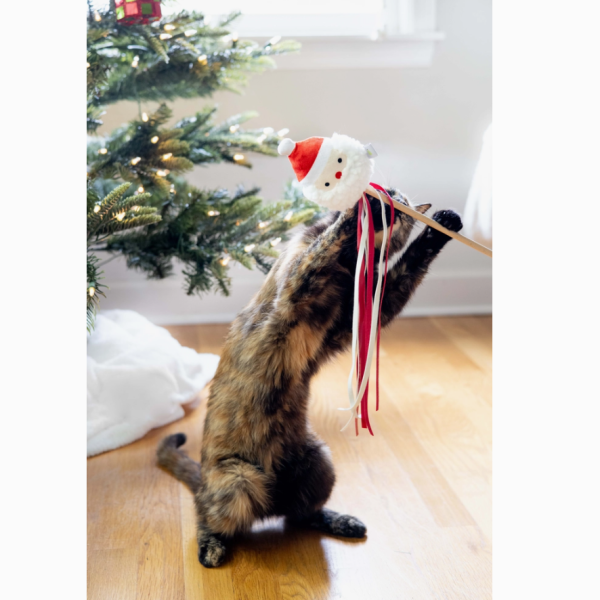 Santa Cat Toy For Cheap