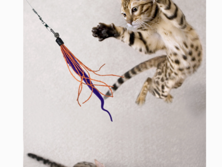 Wiggly Wand Cat Toy For Cheap