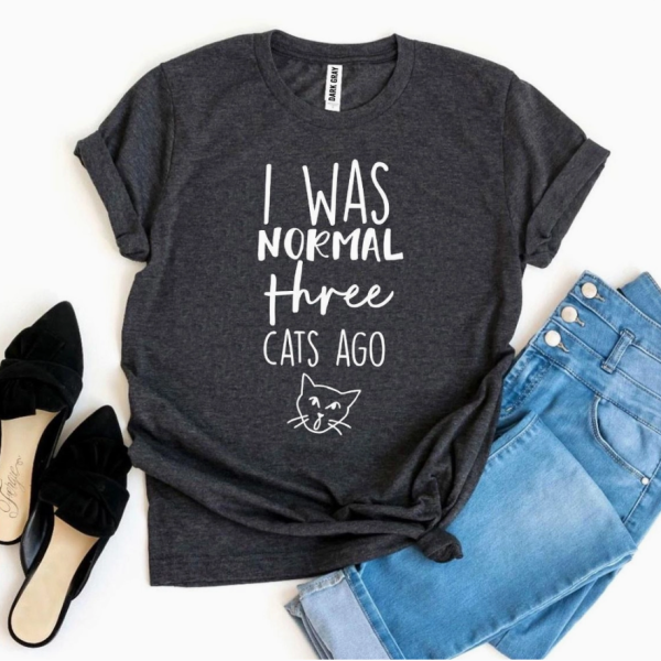 I Was Normal Three Cats Ago T-Shirt Fashion