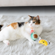 Taco Cat Toys (Set of 2) Online