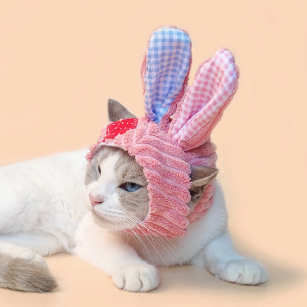 Bunny Cat Hat Supply