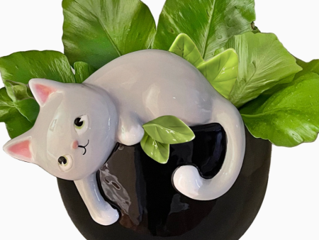 Playful Kitty Planter For Discount