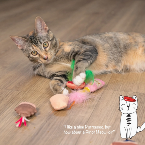 Purrsecco And Cupcakes Cat Toys on Sale