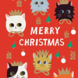 Merry Christmas Cat Cards Online Hot Sale