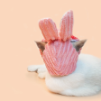 Bunny Cat Hat Supply