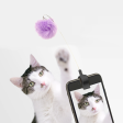 Kitty Phone Clip Supply