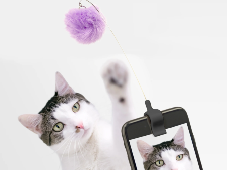 Kitty Phone Clip Supply