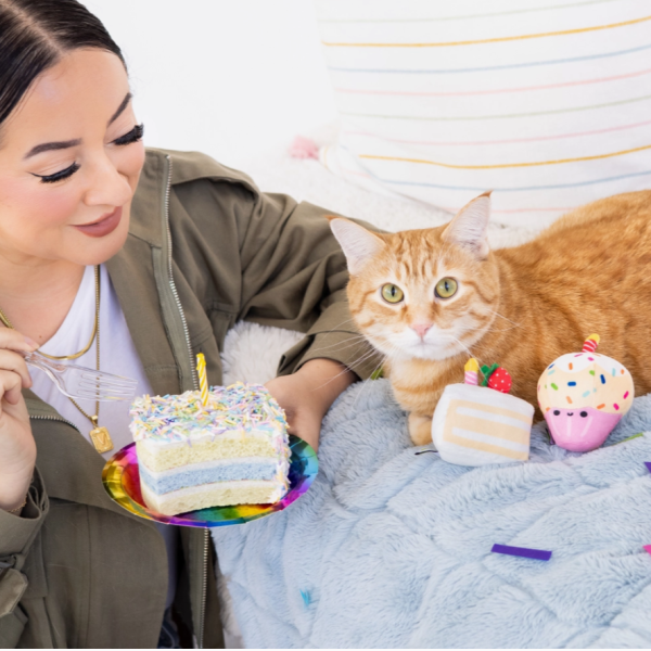 Birthday Cake Cat Toy Set Sale