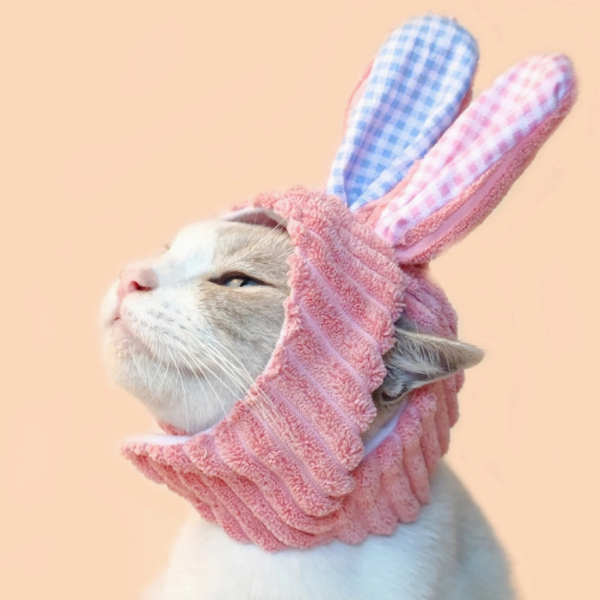 Bunny Cat Hat Supply