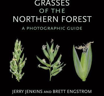 Grasses of the Northern Forest: A Photographic Guide Hot on Sale