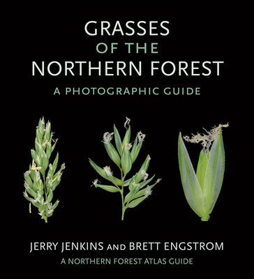 Grasses of the Northern Forest: A Photographic Guide Hot on Sale