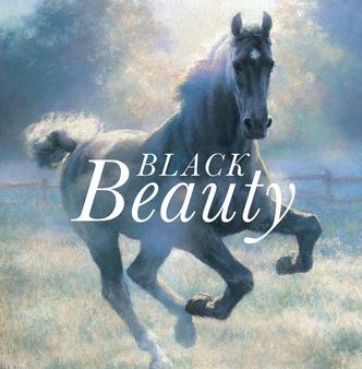 Black Beauty Sale