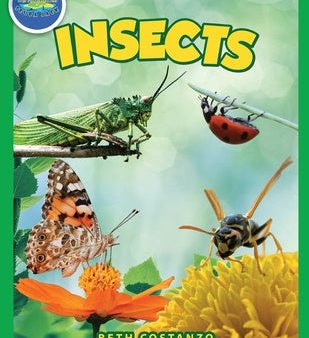 Bugs in My Backyard for Kids: Storybook, Insect Facts, and Activities (Let s Learn About Bugs and Animals) Hot on Sale