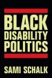 Black Disability Politics Online Sale