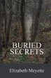 Buried Secrets: Sequel to the The Cavanaugh House Online Hot Sale