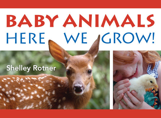 Baby Animals!: Here We Grow Online Hot Sale