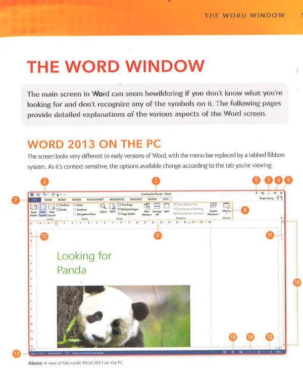 Microsoft Word Basics Hot on Sale