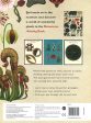 Botanicum Activity Book Online Sale