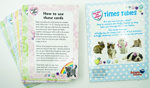 Times Table Flashcards For Cheap