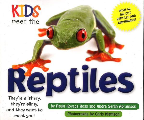 Kids Meet The Reptiles Supply